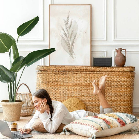 Fancy Plume Framed Art - ZumBuys