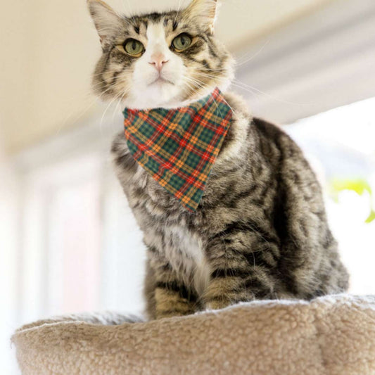 Timeless Plaidster Pet Bandana Collar - ZumBuys