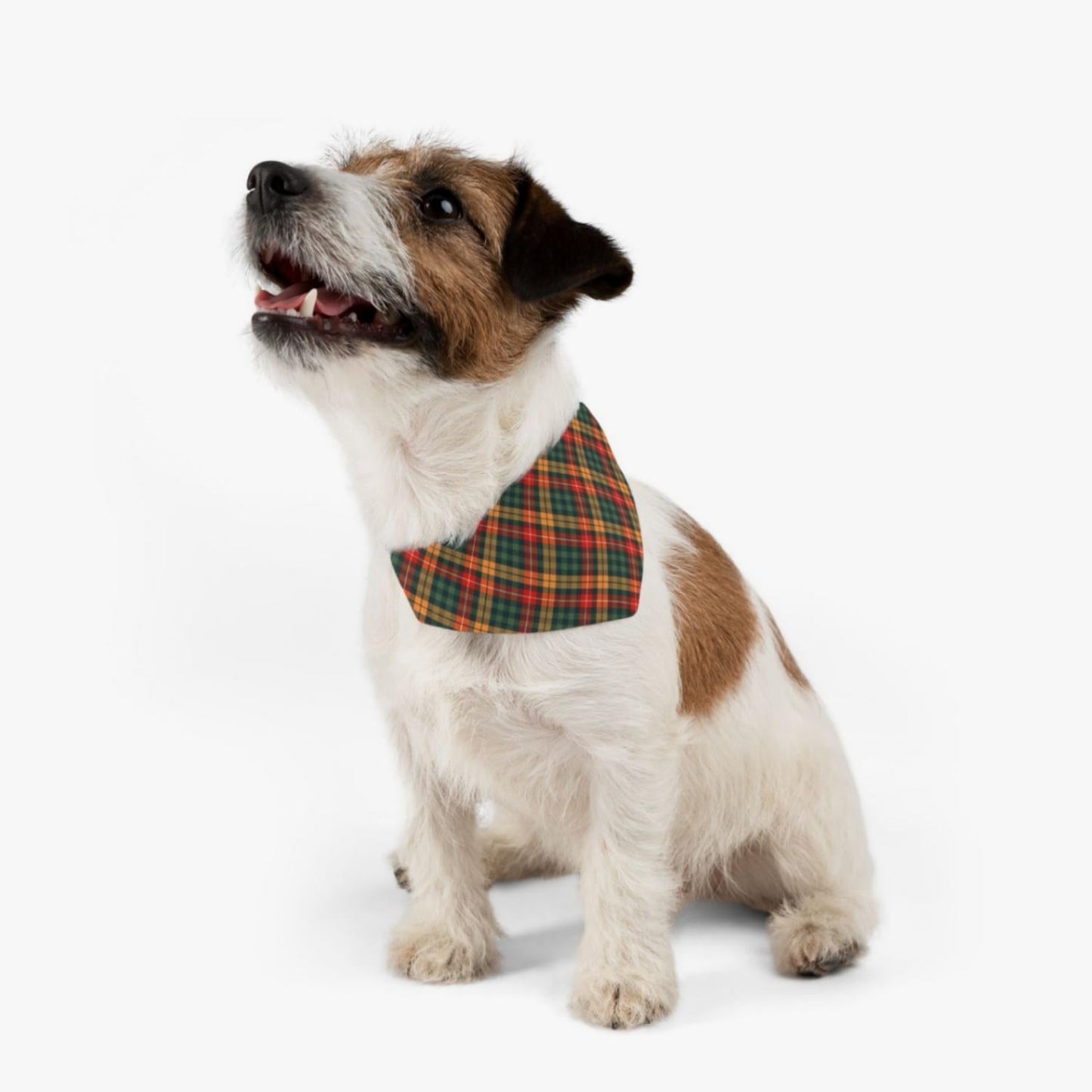 Timeless Plaidster Pet Bandana Collar - ZumBuys