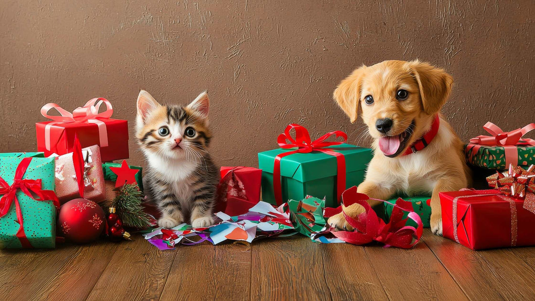 Pawsitively Perfect: Top Gifts for Pets This Christmas!