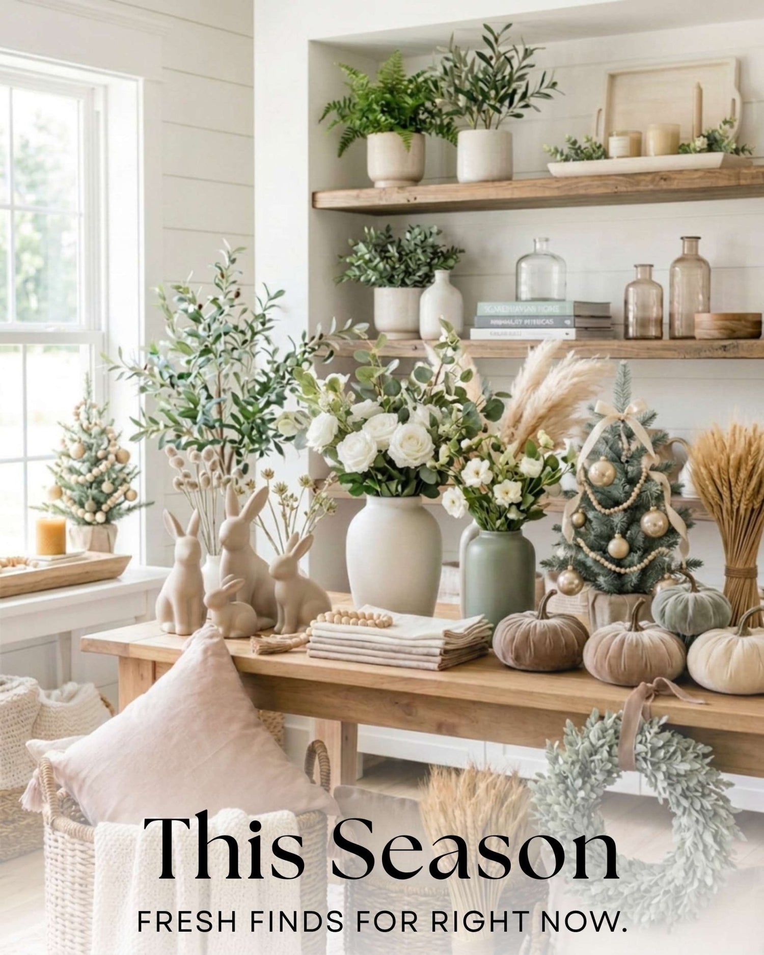 This Season - ZumBuys