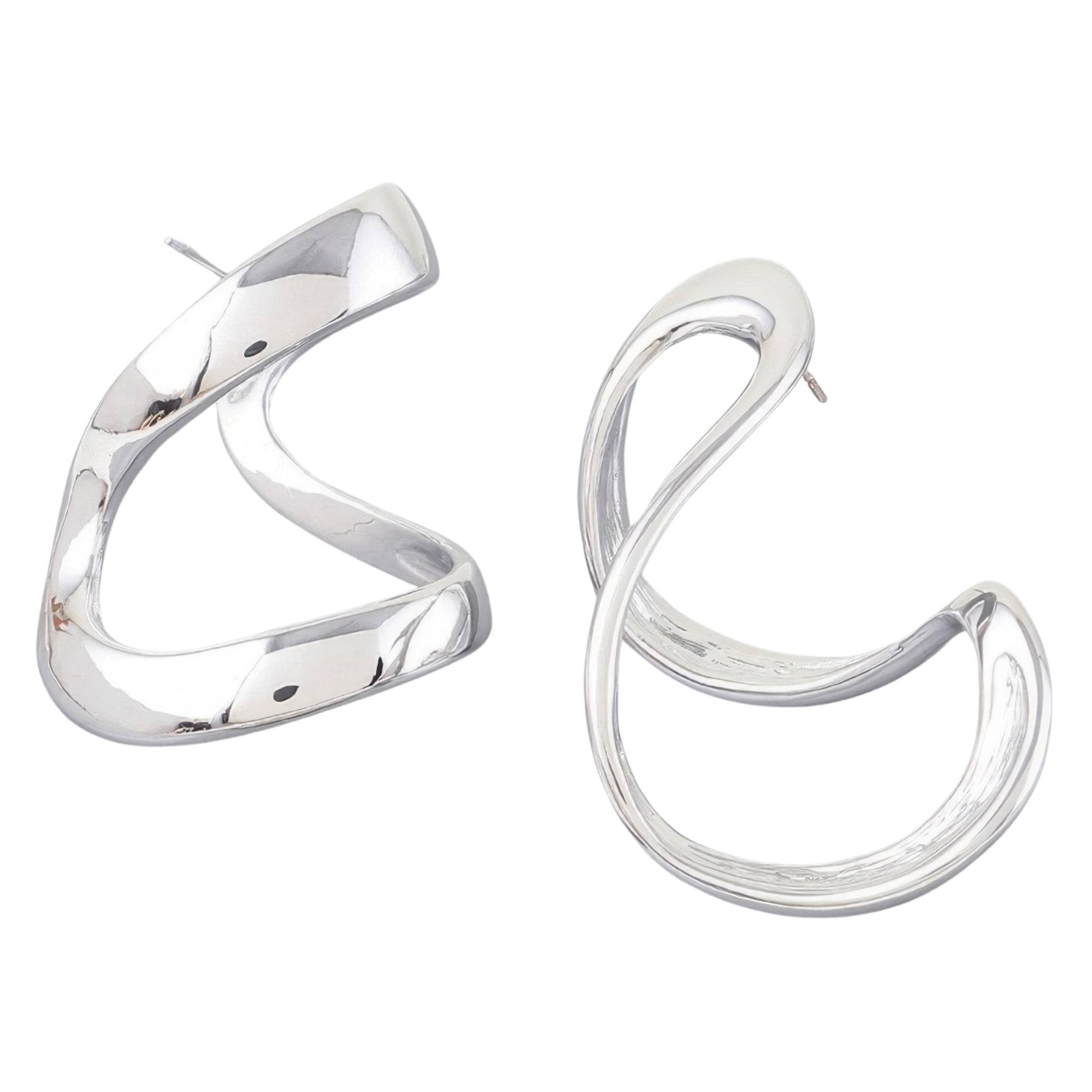 Abstract Shiny Bend Earrings - ZumBuys