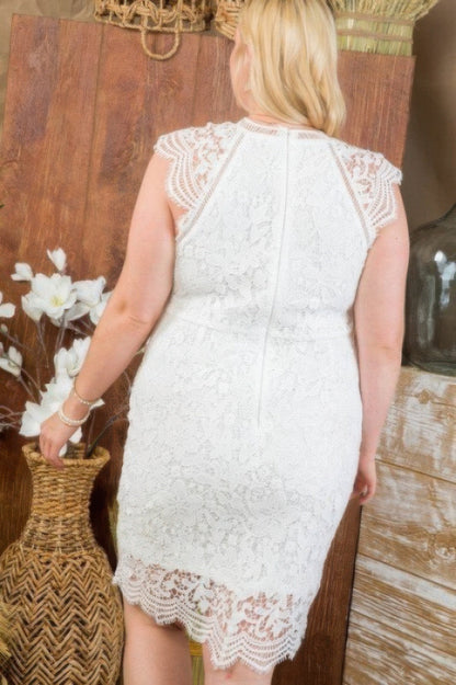 Lace Crochet Mini Raglan Dress With Zipper Back - ZumBuys