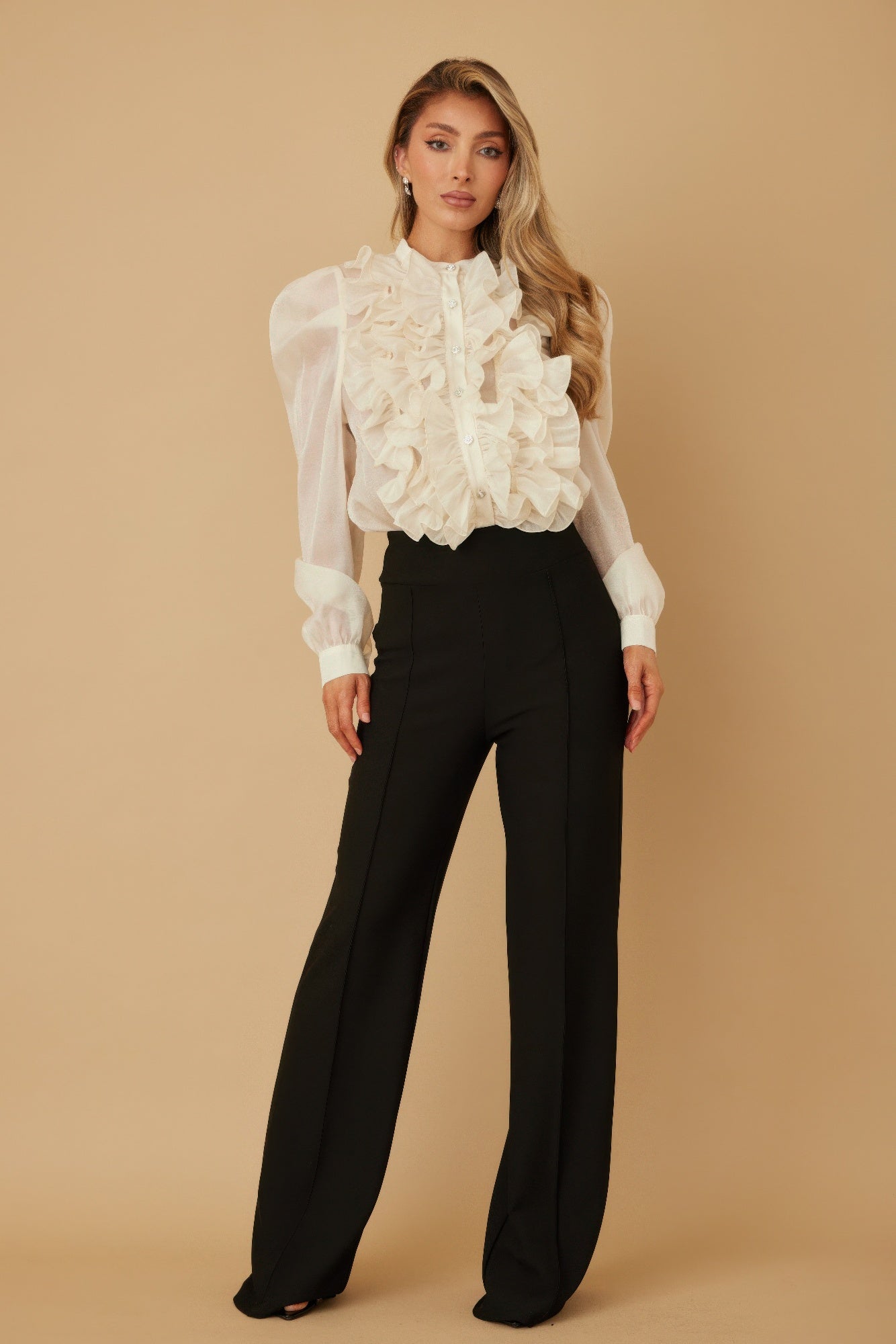 Ruffle Micro Crystal Long Sleeve Blouse - ZumBuys