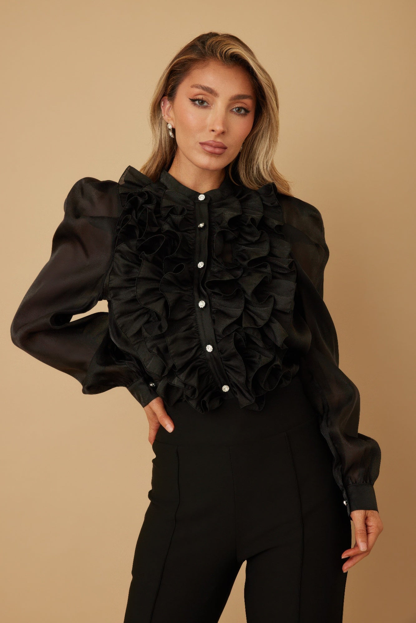 Ruffle Micro Crystal Long Sleeve Blouse - ZumBuys