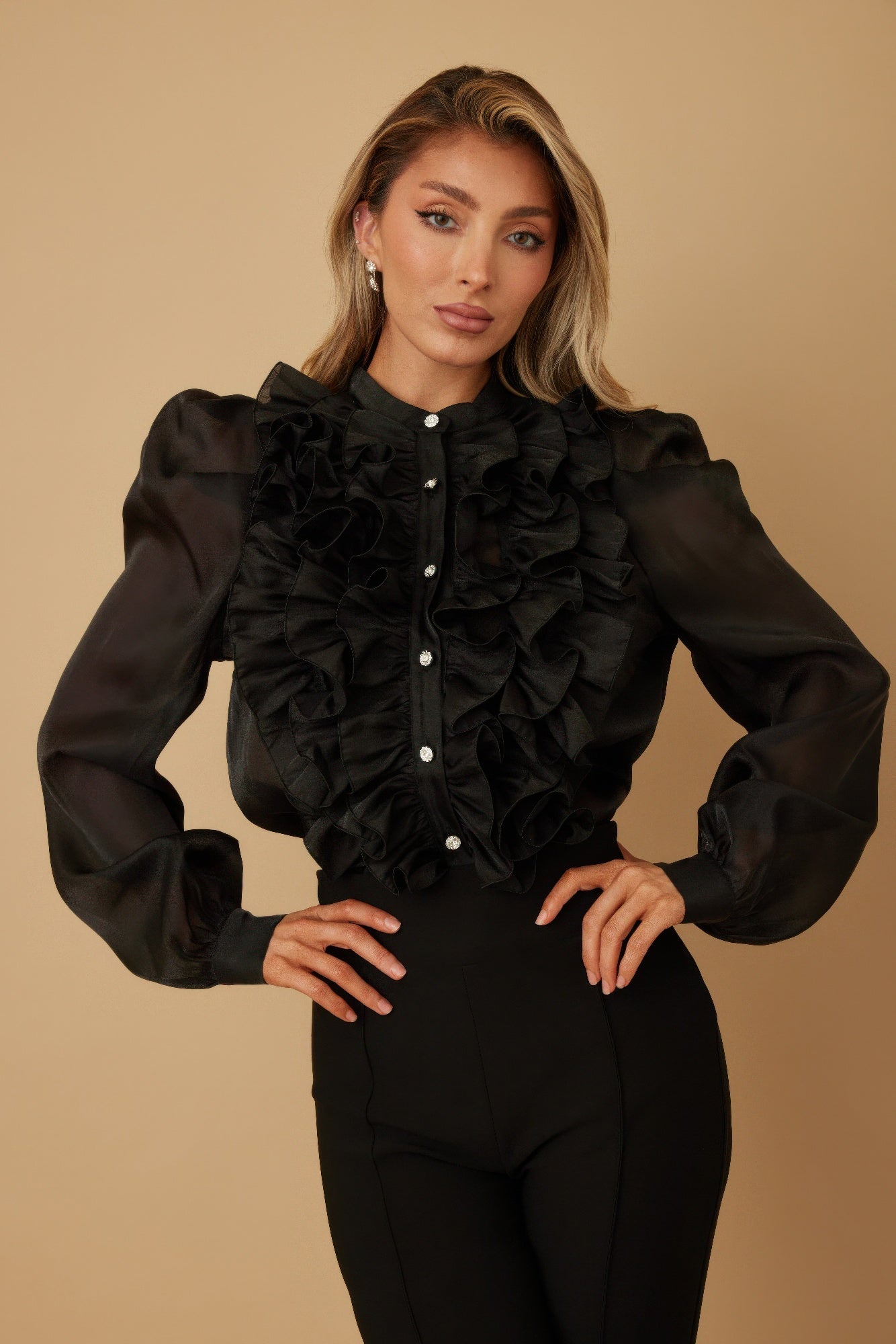 Ruffle Micro Crystal Long Sleeve Blouse - ZumBuys