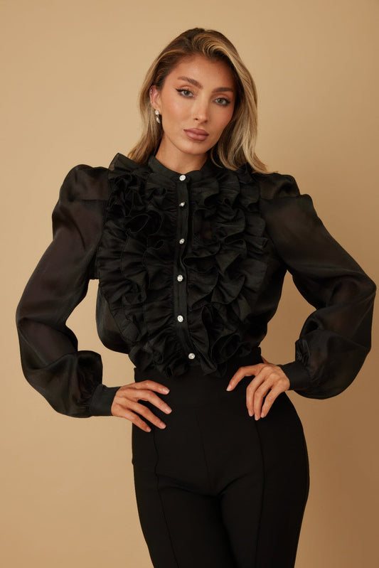 Ruffle Micro Crystal Long Sleeve Blouse - ZumBuys