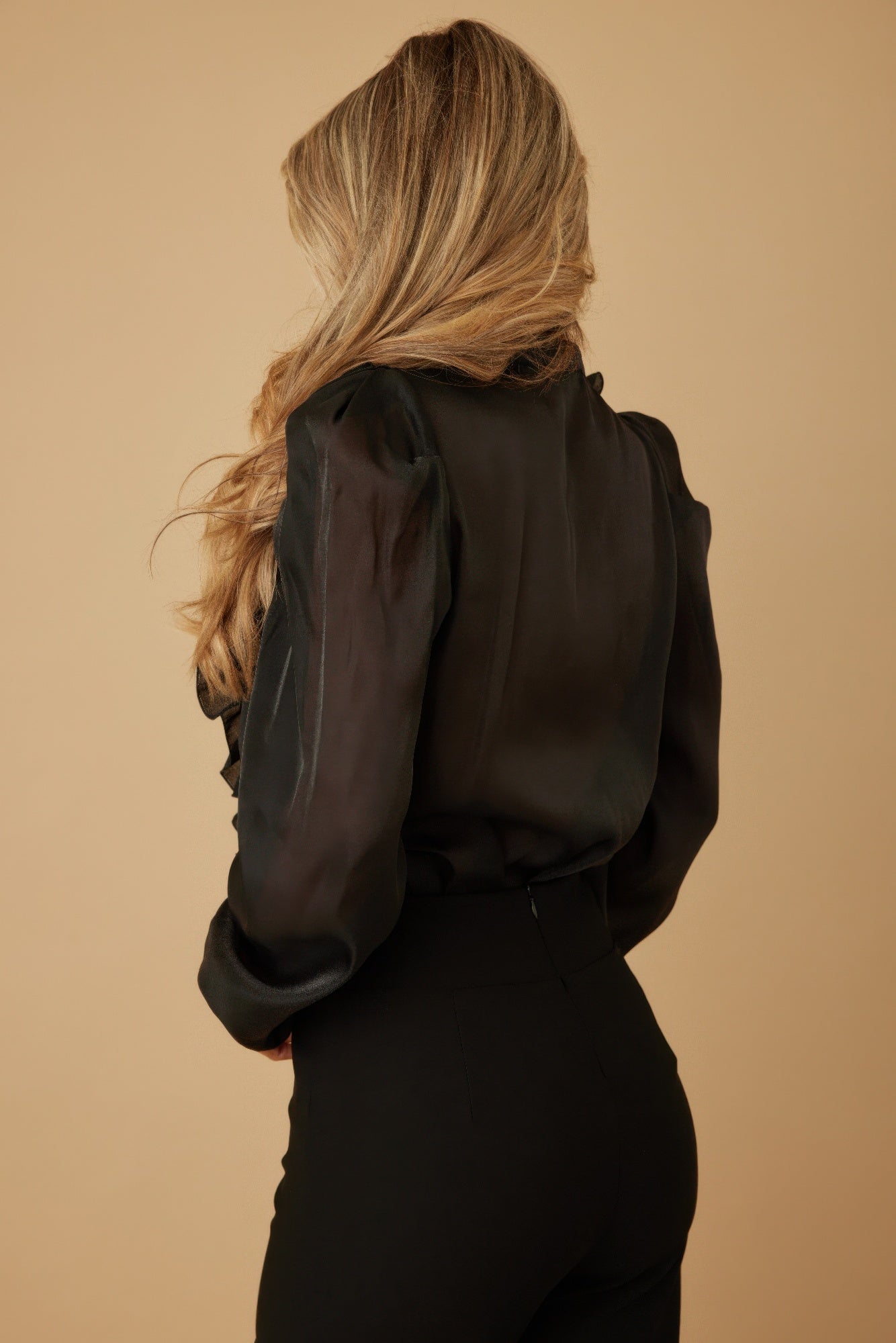 Ruffle Micro Crystal Long Sleeve Blouse - ZumBuys