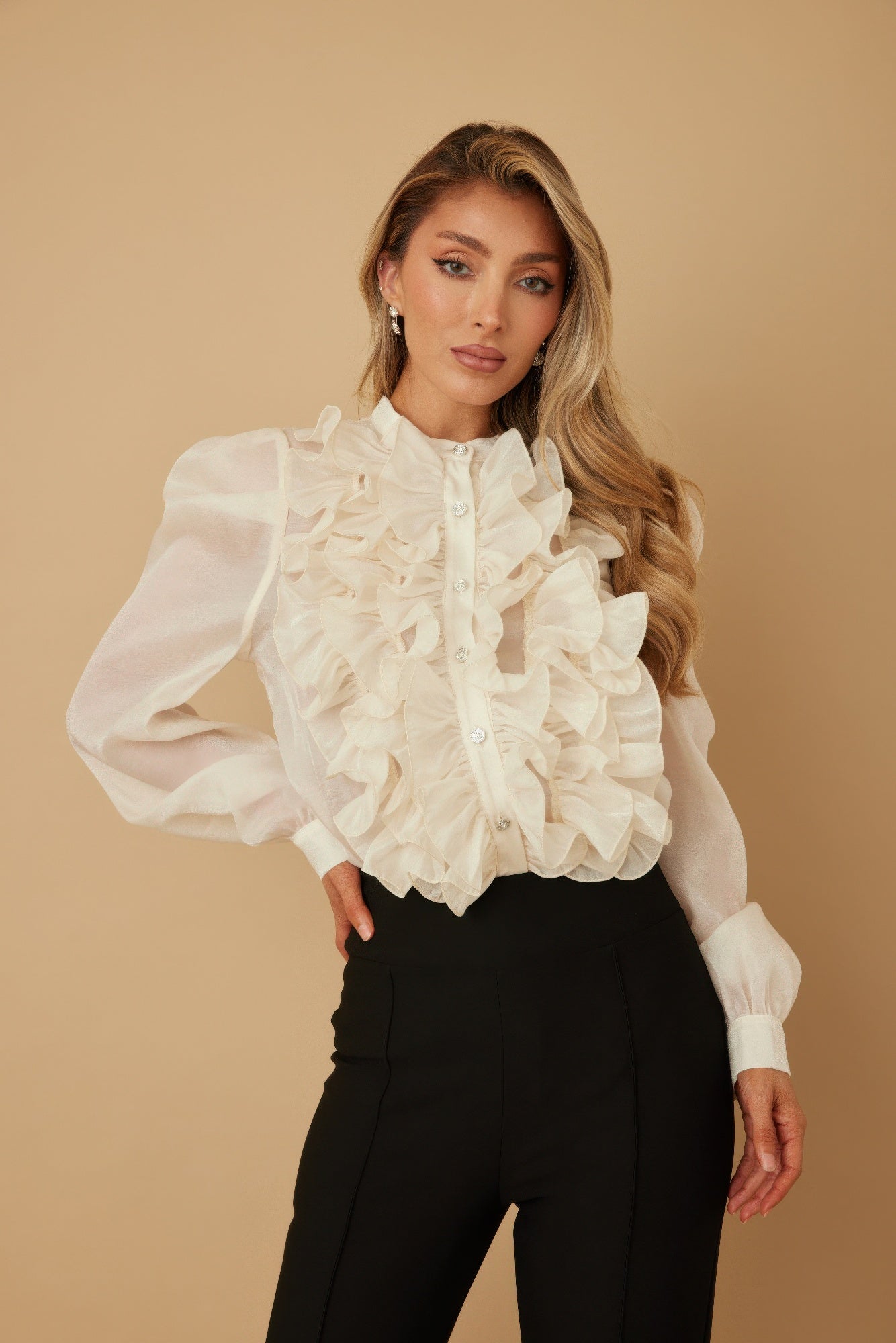 Ruffle Micro Crystal Long Sleeve Blouse - ZumBuys