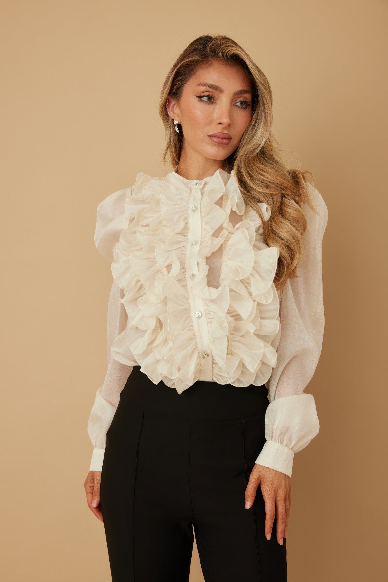 Ruffle Micro Crystal Long Sleeve Blouse - ZumBuys