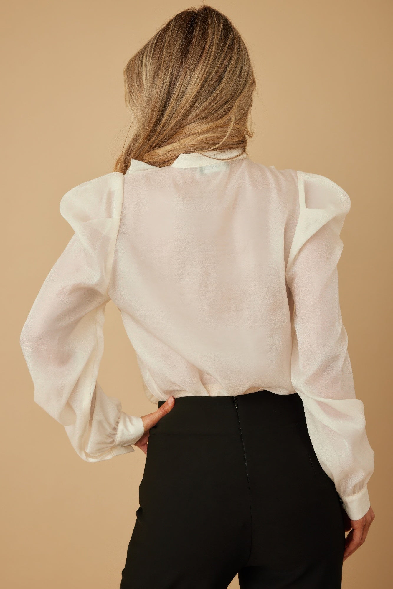 Ruffle Micro Crystal Long Sleeve Blouse - ZumBuys