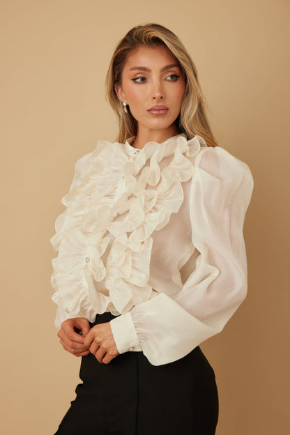 Ruffle Micro Crystal Long Sleeve Blouse - ZumBuys