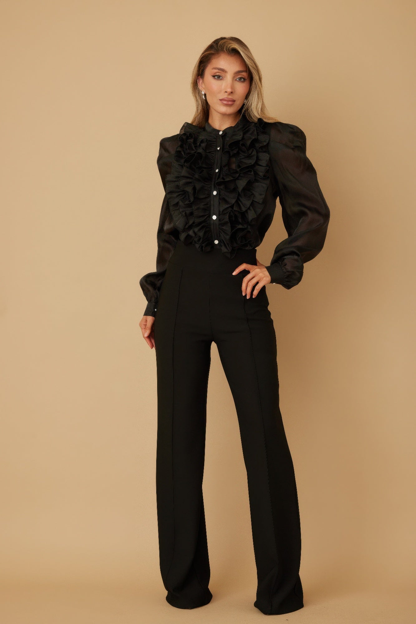 Ruffle Micro Crystal Long Sleeve Blouse - ZumBuys