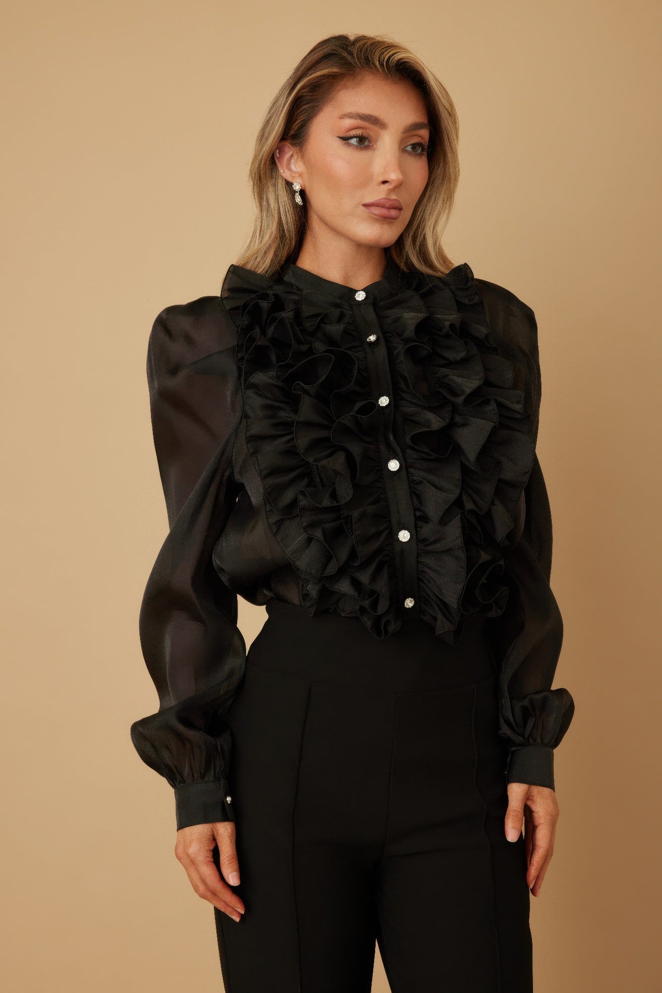 Ruffle Micro Crystal Long Sleeve Blouse - ZumBuys