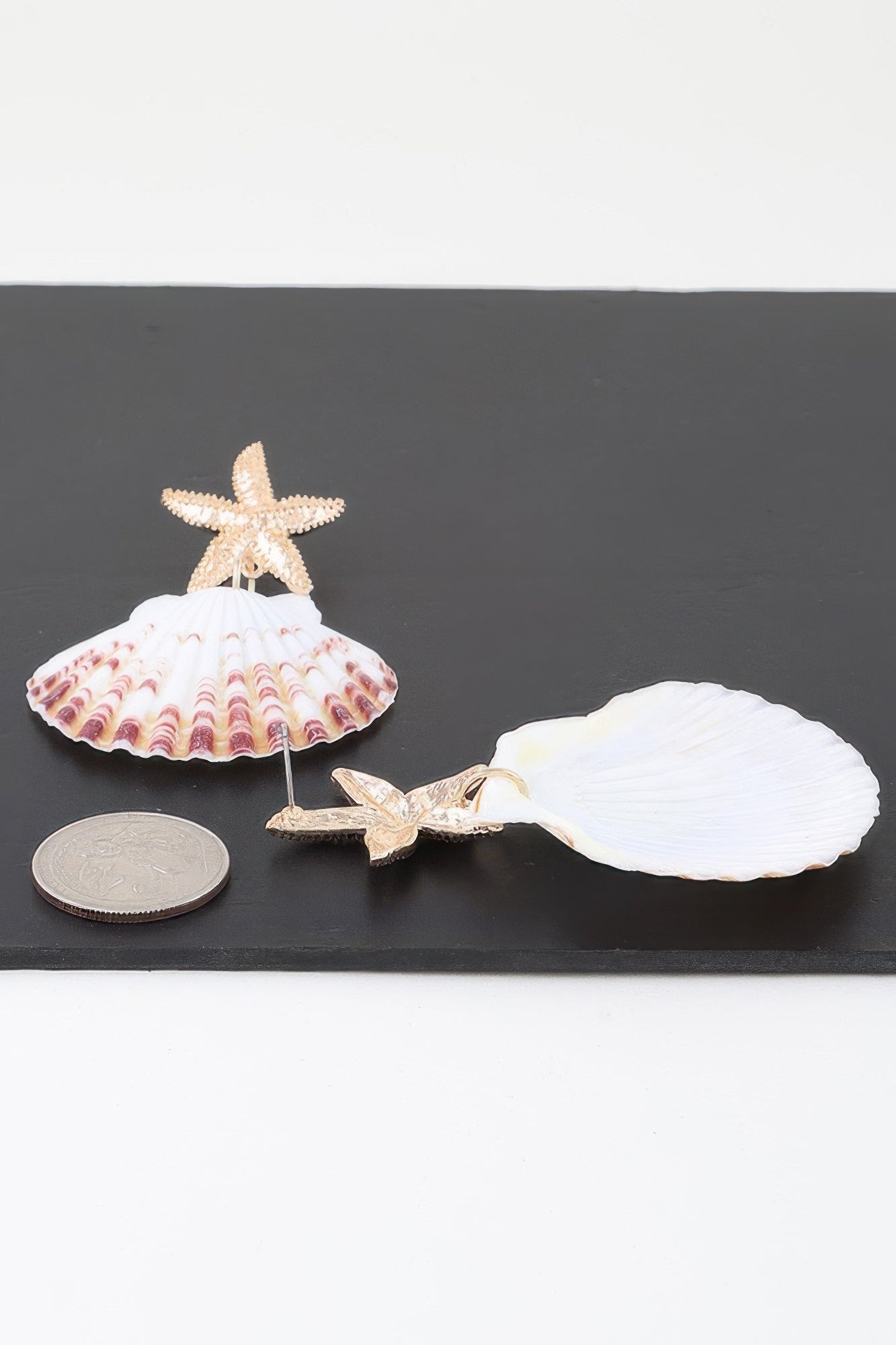 Under The Sea Clam Earrings - ZumBuys