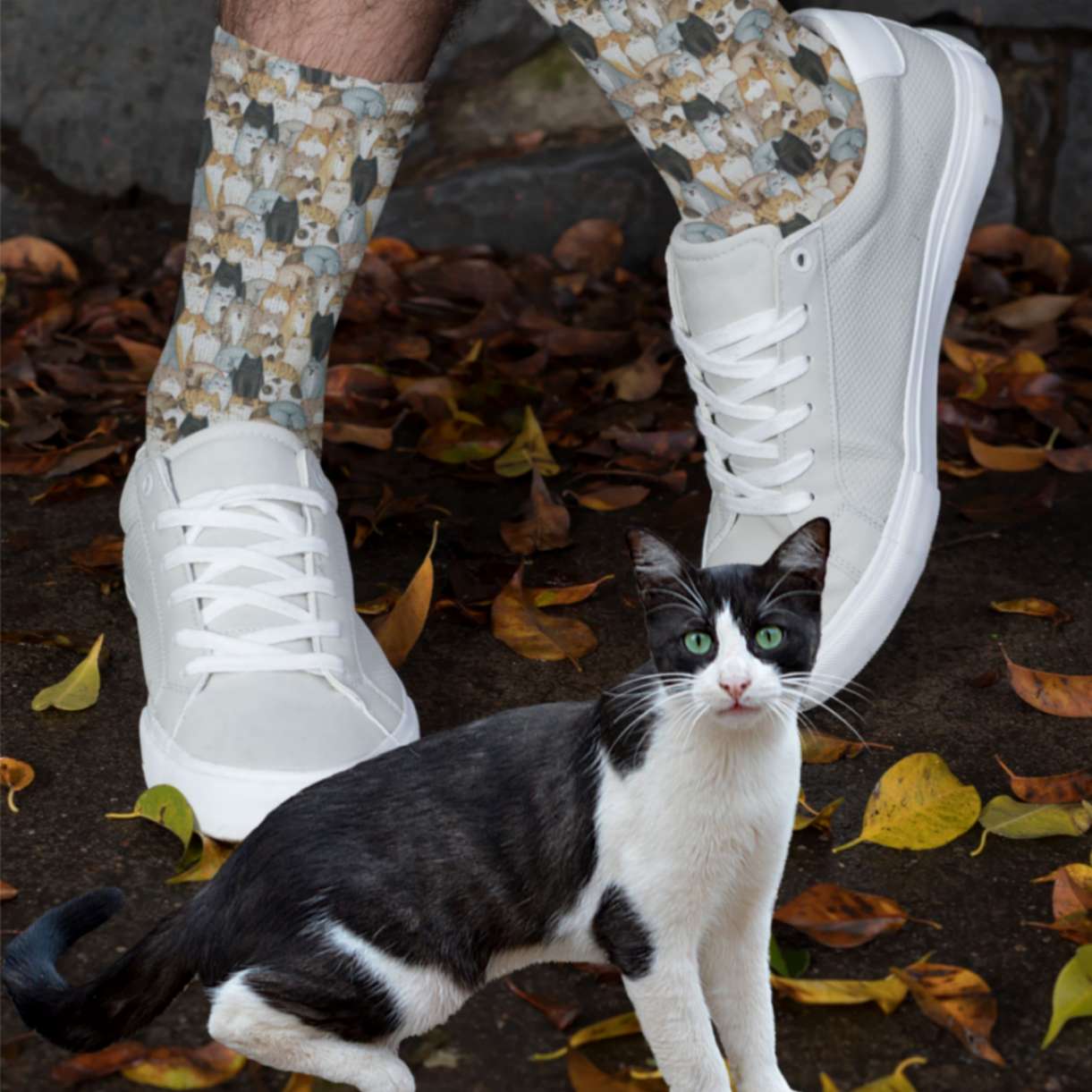 Cat Craze Socks - ZumBuys