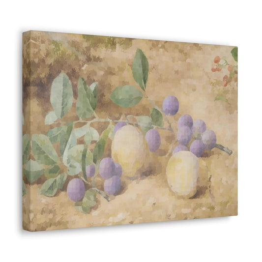 Plums Canvas Gallery Wrap - ZumBuys