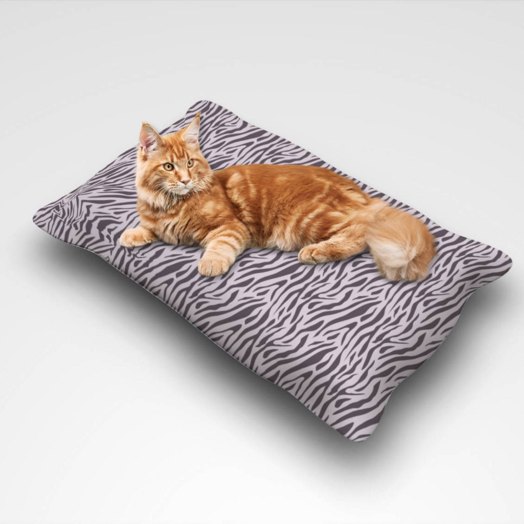 Purple Zebra Pet Bed - ZumBuys