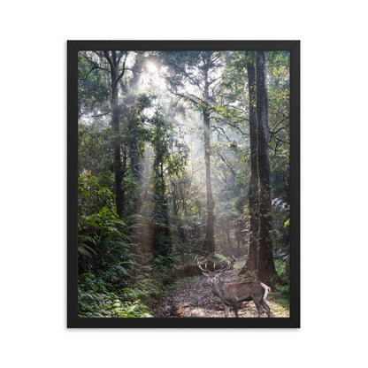Sunlit Forest Deer Framed Artwork - ZumBuys